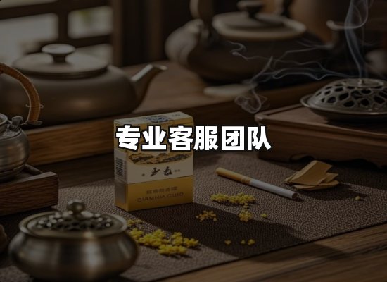 专业优势
